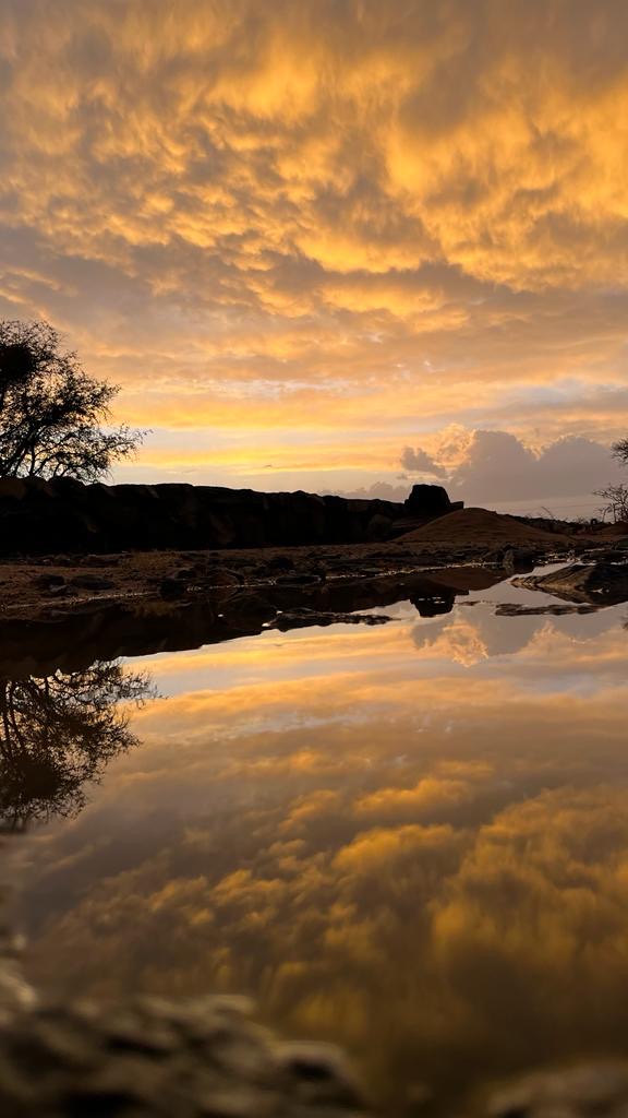 مشروع بدريه محمد عبدالله الشهراني